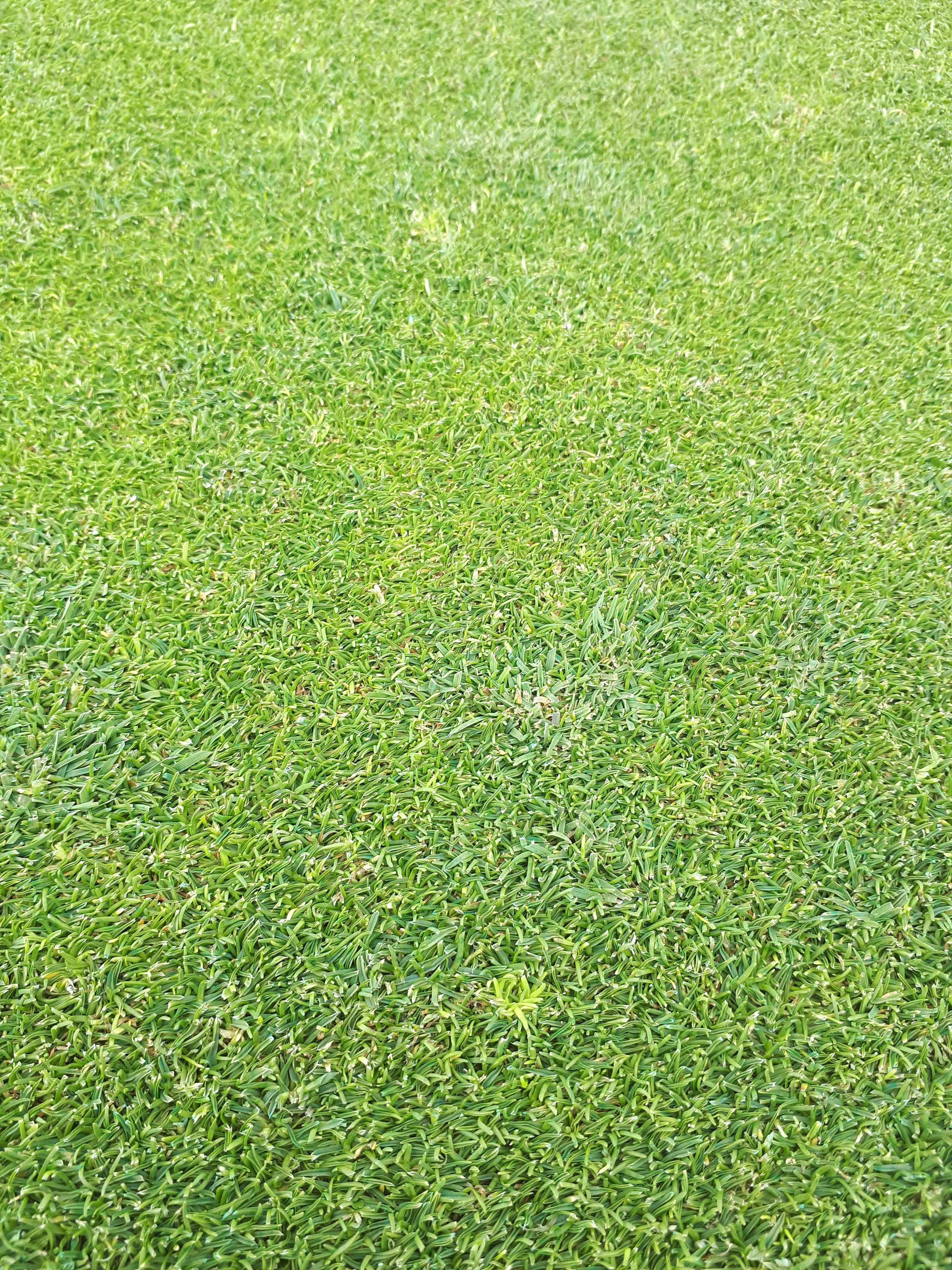 20180720_120125.jpg