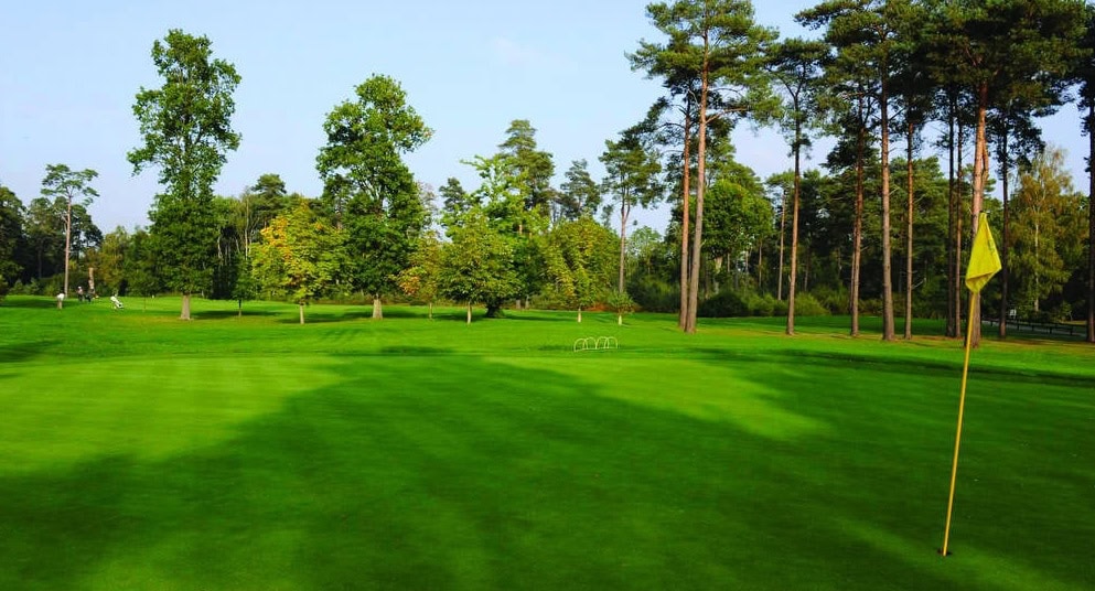 Impact of Primo Max II compared to untreated turf