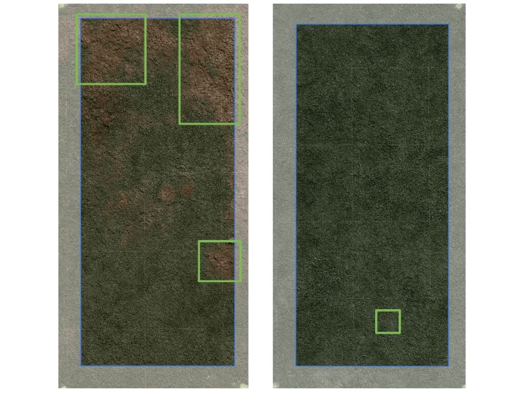 Qualibra treated turf vs untreated
