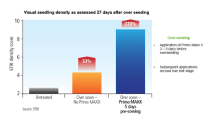 Getting seedling density in golf course renovation